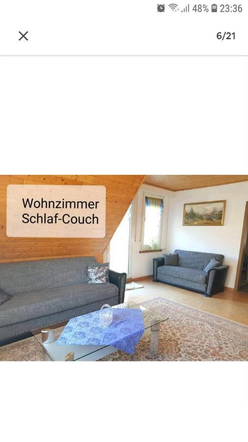 4 Erw. 1 Ki. Ski Entspannung Terasse Ausblick Schmallenberg Eksteriør bilde